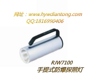 ������RJW7100����ʽ̽�յ�