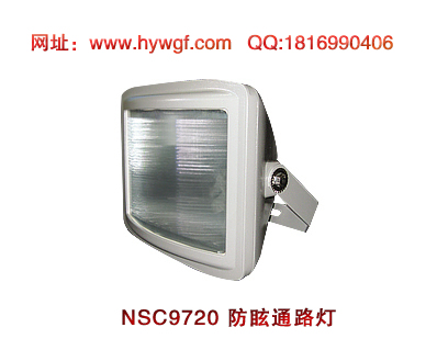 ������NSC9720��ѣͨ·��