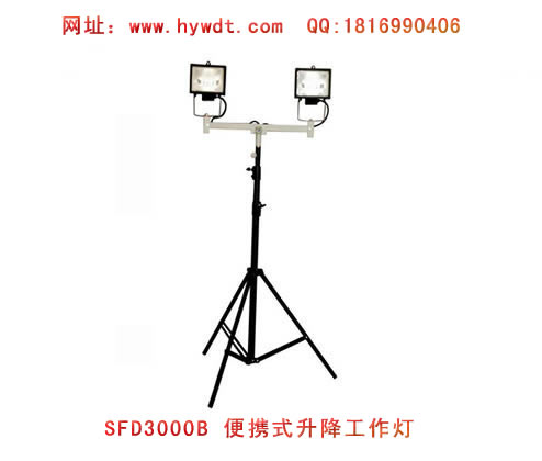 ������SFD3000B����������