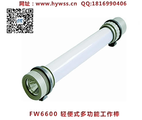 ������FW6600���ʽ������