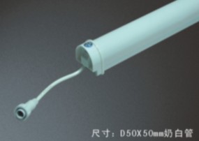 ������ڿ�