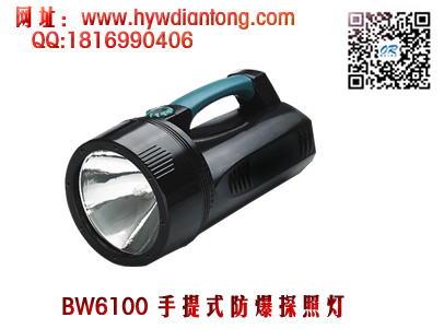 ���庣����BW6100ǿ��̽�յ�